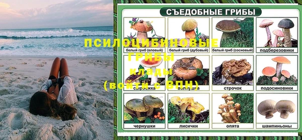 трава Арсеньев