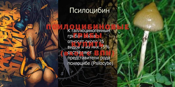 соль курить ск Аркадак