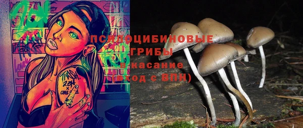 соль курить ск Аркадак