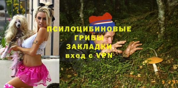 трава Арсеньев